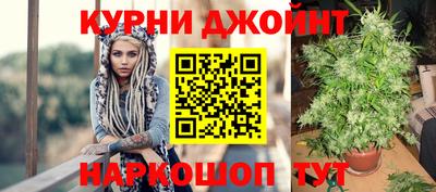 PSILOCYBIN Ирбит