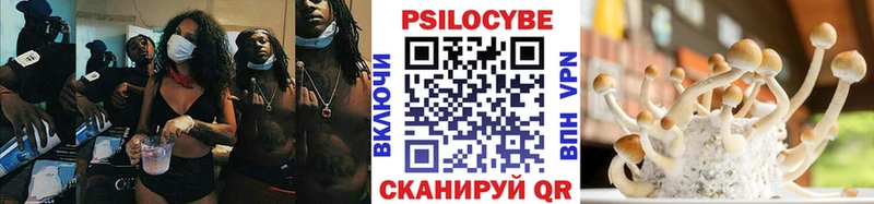 Галлюциногенные грибы Cubensis Нурлат