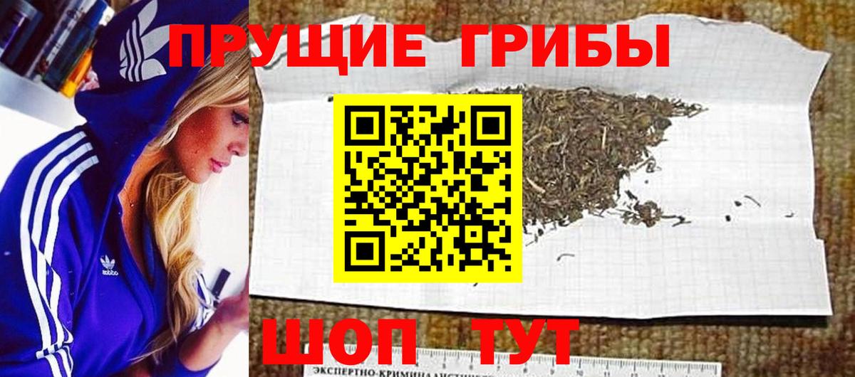 Галлюциногенные грибы Magic Shrooms Нурлат