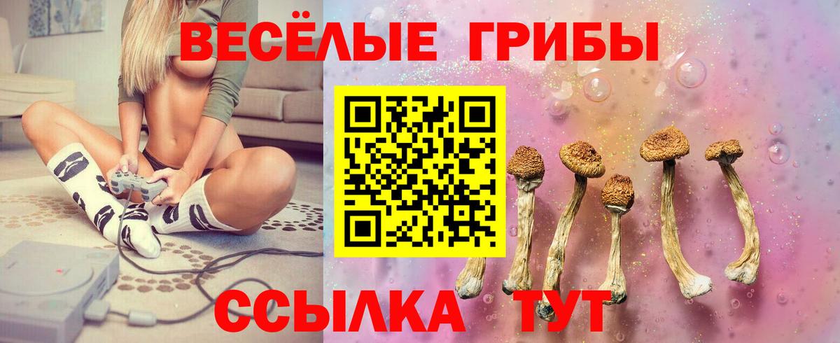 Галлюциногенные грибы Psilocybine cubensis  Нурлат 