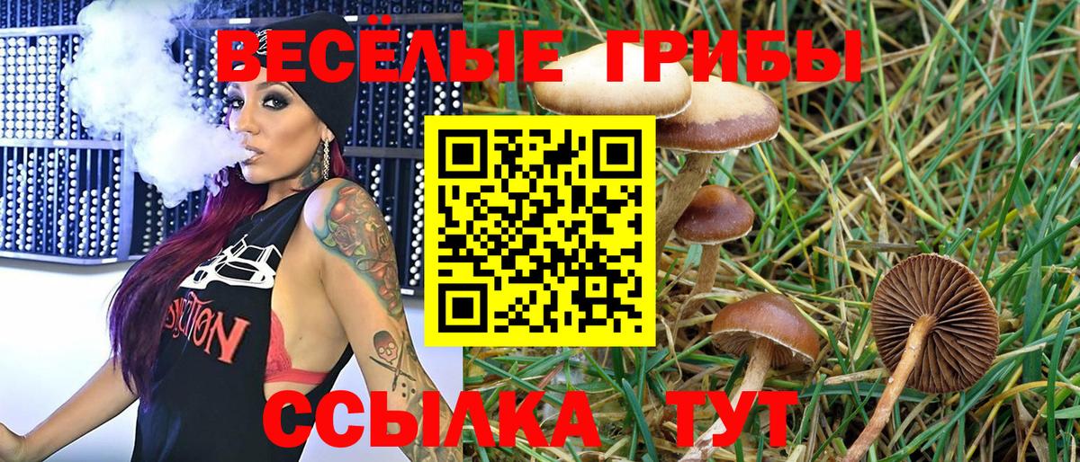 Псилоцибиновые грибы ЛСД Нурлат